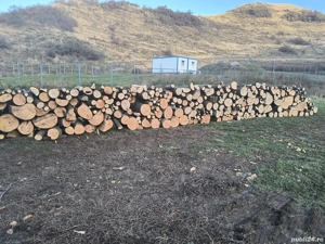 vand lemne de foc fag esenta tare transport la domiciliu 