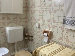 Bucur Obor  Colentina, Teiul Doamnei  - imagine 9 Bucur Obor  Colentina, Teiul Doamnei  - imagine 9