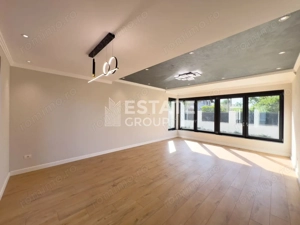 Proiect modern Dumbravita - imagine 2