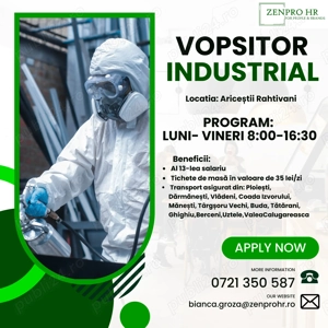 Vopsitor Industrial