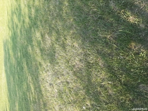 Teren agricol extravilan 