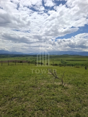 De vanzare, teren 11.500 mp – Dealul Dăii,  Vedere panoramică spre munți și lac - imagine 5