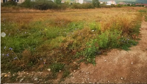 Teren de vanzare In Alba Iulia central - imagine 5