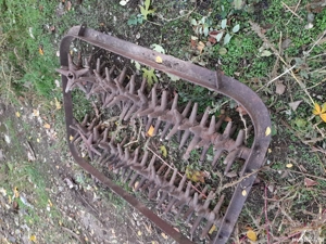 vând grapă stelată