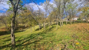 Teren de vânzare în comuna Arefu, județ Argeș. - imagine 7