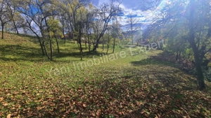 Teren de vânzare în comuna Arefu, județ Argeș. - imagine 4