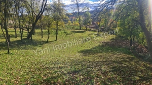Teren de vânzare în comuna Arefu, județ Argeș. - imagine 12