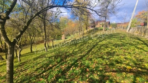 Teren de vânzare în comuna Arefu, județ Argeș. - imagine 9