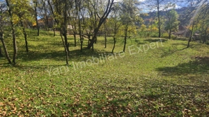 Teren de vânzare în comuna Arefu, județ Argeș. - imagine 13