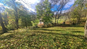 Teren de vânzare în comuna Arefu, județ Argeș. - imagine 8