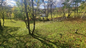 Teren de vânzare în comuna Arefu, județ Argeș. - imagine 11