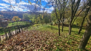 Teren de vânzare în comuna Arefu, județ Argeș. - imagine 10