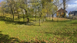 Teren de vânzare în comuna Arefu, județ Argeș. - imagine 14