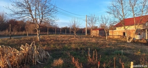 Teren intravilan Daia Noua - imagine 4