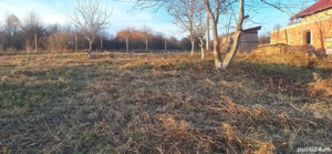 Teren intravilan Daia Noua - imagine 5