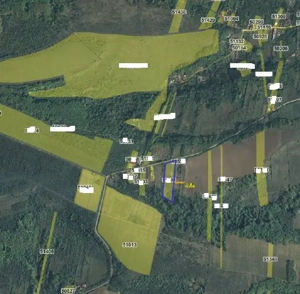 Teren extravilan arabil loc. Prunisor, jud. Mehedinti - imagine 4