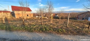 Teren intravilan Daia Noua - imagine 3