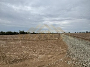 Teren Intravilan 500 mp, comuna Vidra - imagine 4