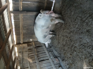 Vind vier  - imagine 2