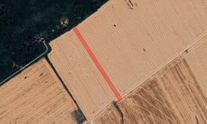 Teren intravilan Buftea  - imagine 2