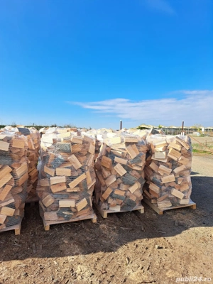 Lemne de foc taiate si crapate 