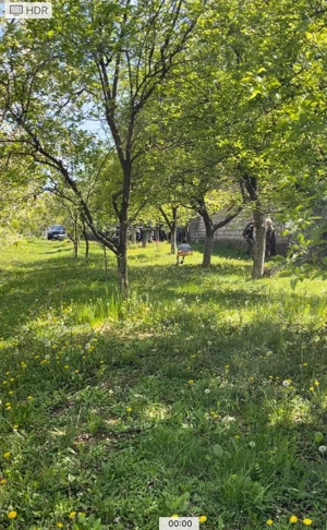 Vand teren intravilan cu iesire la Dunare , in Moldova Noua, jud CS - imagine 4