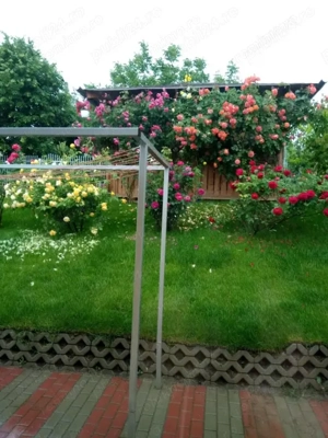 Casa Parter, 127 mp utili, cu 500 mp teren Rediu - imagine 4