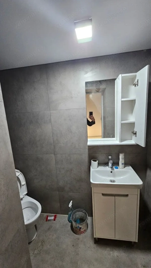 Spatiu comercial de inchiriat in zona Timpuri Noi - imagine 4