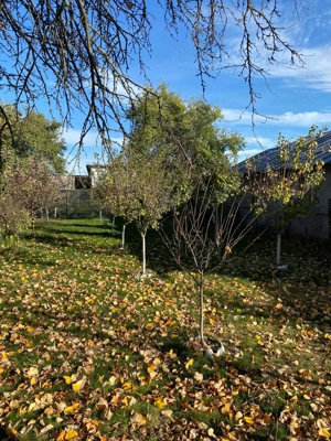 Vanzare teren intravilan situat in zona Pleasa 580 mp - imagine 2