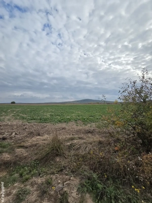 Vand teren intravilan in Cheriu  - imagine 2