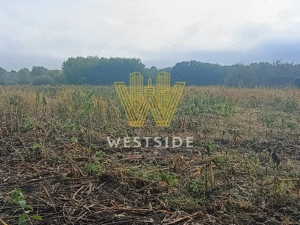 Teren de vanzare, in Ghertenis, Berzovia - imagine 2