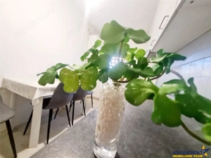 Tur 3D! Eleganta in cromatica de toamna, 2 bai, etaj 1, Bartolomeu, Brasov - imagine 6