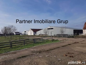 Ferma de Animale " La Cheie " 