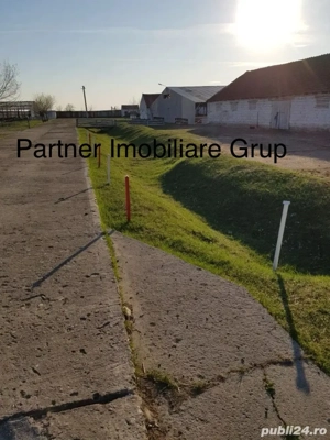 Ferma de Animale " La Cheie "  - imagine 5