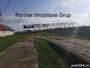 Ferma de Animale " La Cheie "  - imagine 3