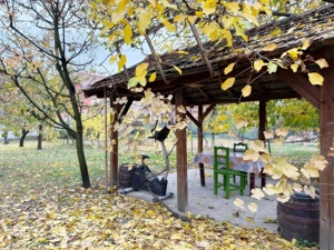 Casa cu teren 930 mp in Iosia, Oradea