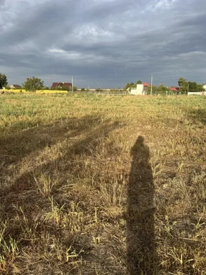 Teren vanzare 10.000 mp plus unul 2400 mp - imagine 3