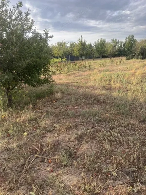 Teren vanzare 10.000 mp plus unul 2400 mp - imagine 2