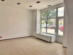 Iosefin- Spatiu Comercial- Vitrina mare-170 utili+subsol-trifazic - imagine 13