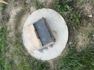 Casa de vânzare in Paleu - imagine 9