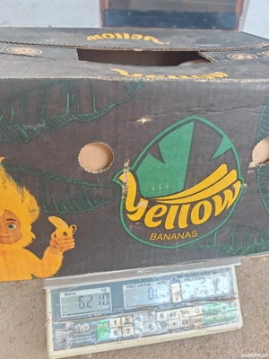 gaste leșești și gâște de carne  - imagine 4