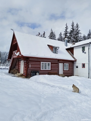 Închiriez cabana pentru Crăciun  - imagine 3