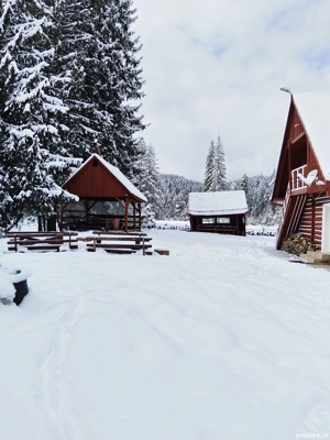 Închiriez cabana pentru Crăciun  - imagine 5