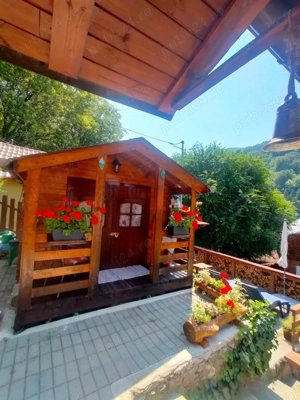 Vând casă de vacanță la Tarnița( Coada Lacului ) - imagine 6