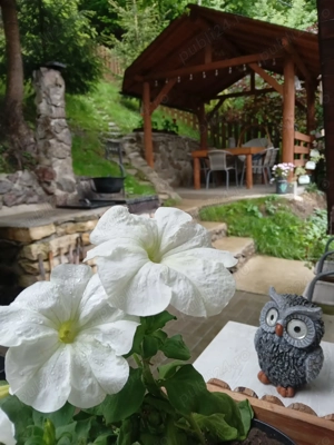 Vând casă de vacanță la Tarnița( Coada Lacului ) - imagine 5