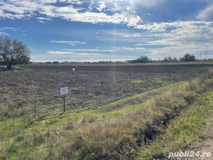 Vand teren Comuna Berceni  - imagine 4 Vand teren Comuna Berceni  - imagine 4