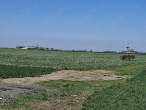 Teren intravilan Zimandul Nou 13600 mp aproape de utilitati - imagine 5