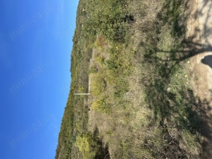 Teren intravilan Berzasca jud Caras Severin - imagine 3