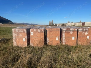 Caramida Wienerberger Porotherm Robust 30 - 8 lei buc.