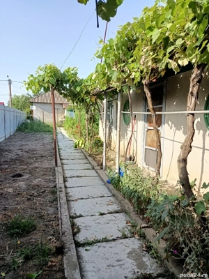 Casă bătrânească de vânzare în Sulina - imagine 4